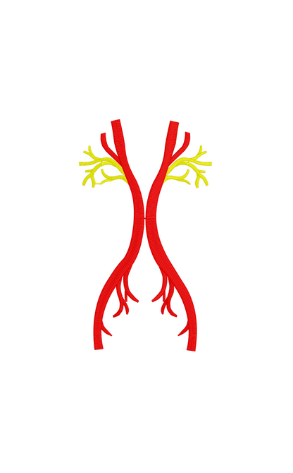 Angio Embroidery Patch