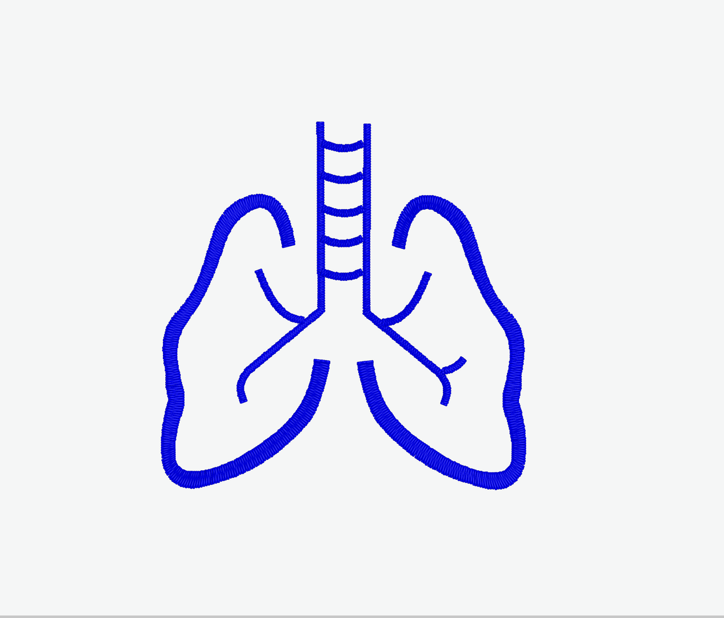 Lungs