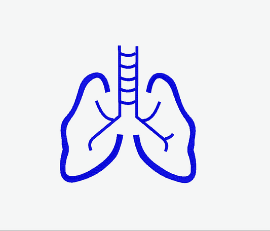 Lungs